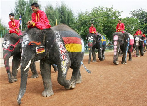图文-泰国大象足球赛反赌球 雄赳赳的入场仪式