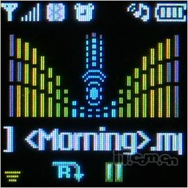ʱѪͳLGֻܳG262(3)