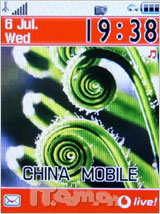 ɫ־3GֻZ110v(2)