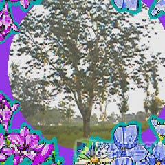 DCս500ֻM509(9)