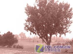 DCս500ֻM509(8)