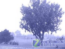 DCս500ֻM509(8)