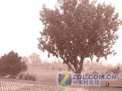 DCս500ֻM509(8)