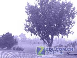 DCս500ֻM509(8)