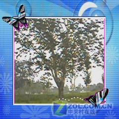 DCս500ֻM509(9)