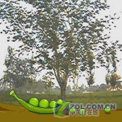 DCս500ֻM509(9)