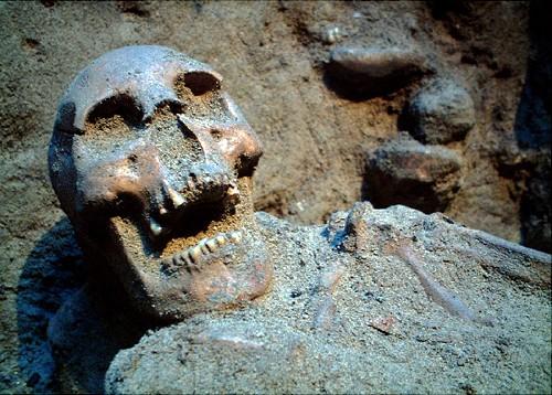 3000年前斐济女尸"马娜"头骨复原(组图)