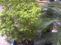 սֻ޽ŵN90ǿ֮(4)