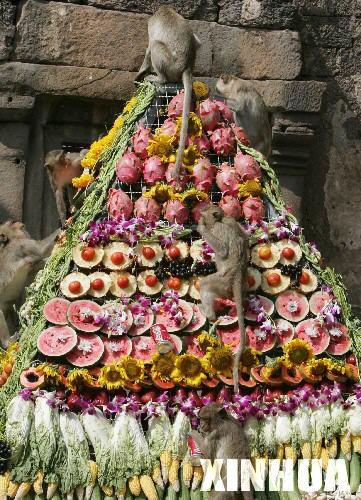 泰国2000多只猴子在寺庙度过美食节(组图)_科