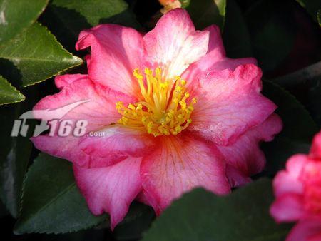 䳤СڼS2ISʹ(5)