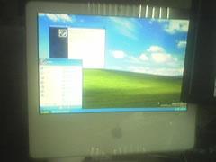 æƽæӢضMacWinXPܸã