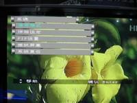 Ͽֽ13999ʹؼ