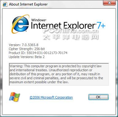 Vista中的IE7+浏览器并不是最终名称?_软件