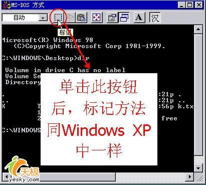 WindowsXP中命令提示符窗口内容巧复制