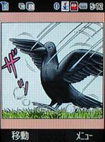 320غս֥Ӱ904T(14)