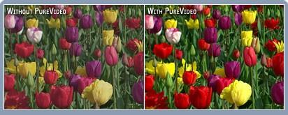 ʱ!PureVideoʹֲ