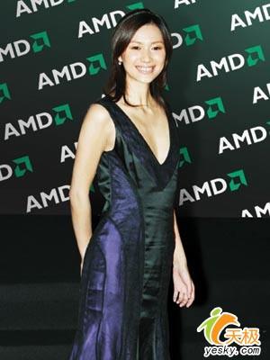 博客美女徐静蕾牵手AMD新片开拍在即
