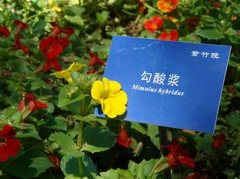 卡片DC新体验索尼T30深入评测