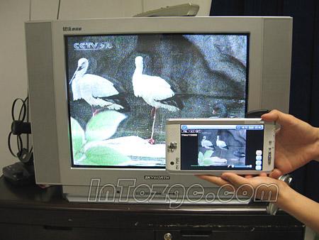 ¼ƵTV-INMP4(12)