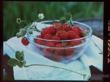 ʺûܿƵ ĴMP3
