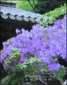 ǿԼ۱SandiskMP3e260
