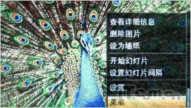 ǿZENVISIONW(8)