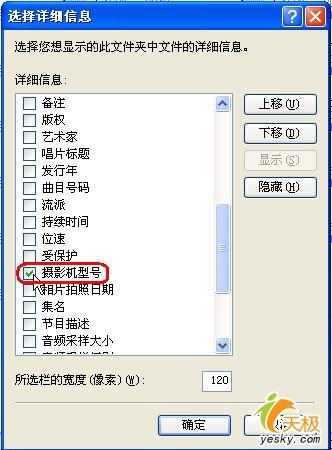 Windows XP