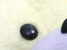ְ˹FE-250