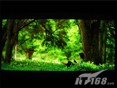 又是五一采购时网友入门双烧搭配推荐(3)