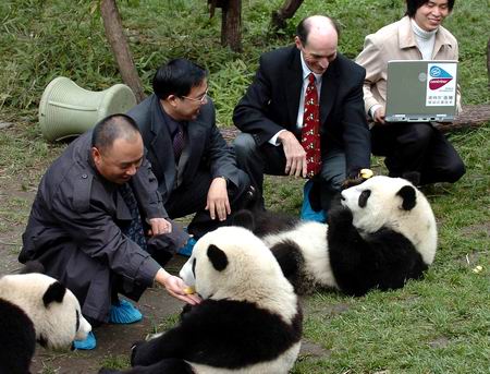 英特尔在卧龙大熊猫自然保护区部署无线技术_