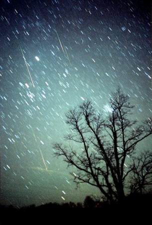 组图:2001年狮子座流星雨精美照片(16)_科学探