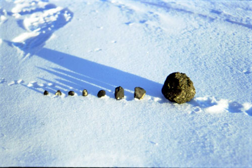 科技时代_图文：第16次格罗夫山科考中发现的陨石