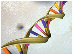 科技时代_五分之一人类基因在美获得专利 存在巨大争议