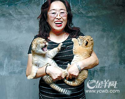 科技时代_深圳动物园女兽医：虎狮兽和狮虎兽不是怪兽
