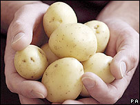 科技时代_英国科学家经过九年研究培育出减肥土豆(图)