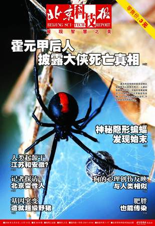 科技时代_《北京科技报》2006年1月24日封面