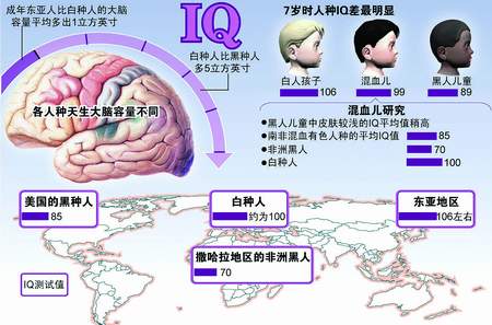 科技時代_英國研究者聲稱中國人是智商最高的人種(圖)