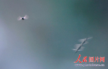 科技时代_照片可能证明神秘飞棍为昆虫飞行轨迹(组图)