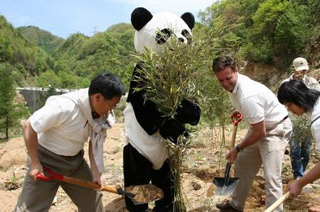 科技时代_世界自然基金会：搭建秦岭大熊猫绿色走廊