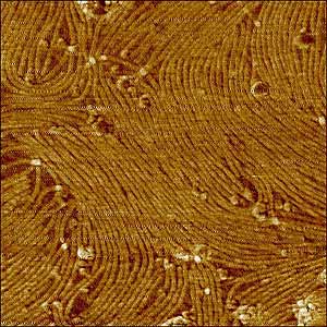 科技时代_科学家研制病毒电池 能量为普通电池的3倍