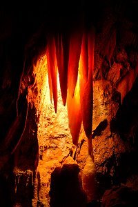 科技时代_澳洲发现世界上最古老洞穴 有3.4亿年历史