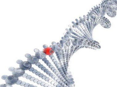 科技时代_新的人类基因图谱绘出 人类DNA差异高达10%