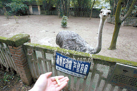 Ƽʱ_춯԰θ﷢ƿ(ͼ)