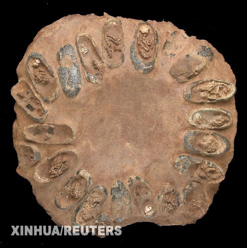 科技时代_中国恐龙蛋窝化石在美拍卖 