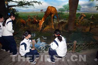 动物之美标本展览在北京自然博物馆开展_科学