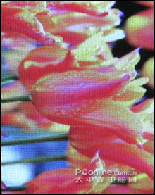 ǿԼ۱SandiskMP3e260