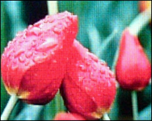 ȫ4GB氮ŷU3
