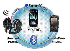 MP3funͣZ5T9̼Ȳ