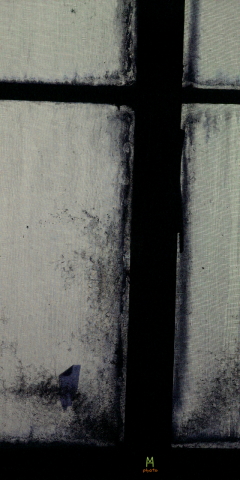 ҵL85ҵĲ