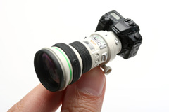 11!EOS30D۵ʼ